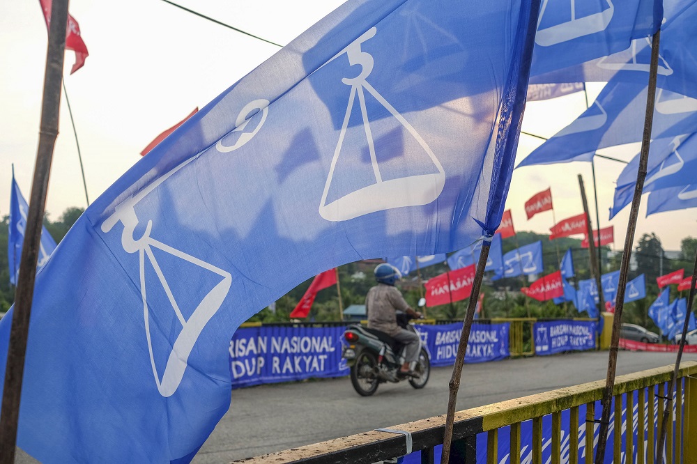 Pakatan Harapan and Barisan Nasional flags line a road in Rantau April 1, 2019. u00e2u20acu201d Picture by Yusof Mat Isa