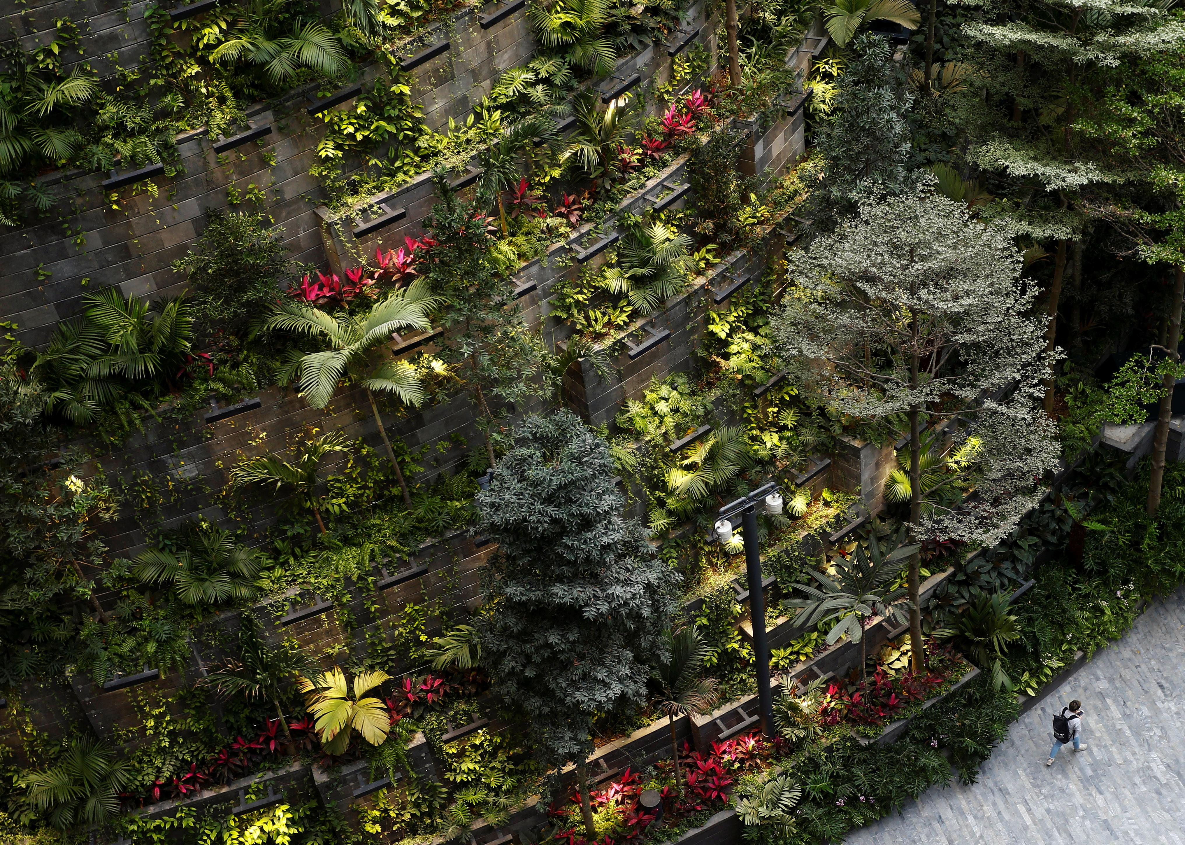 “星耀樟宜”也进一步扩大自然景观，把原本在户外的绿色植物带入室内，成为绿意盎然的休闲场所。-路透社-
