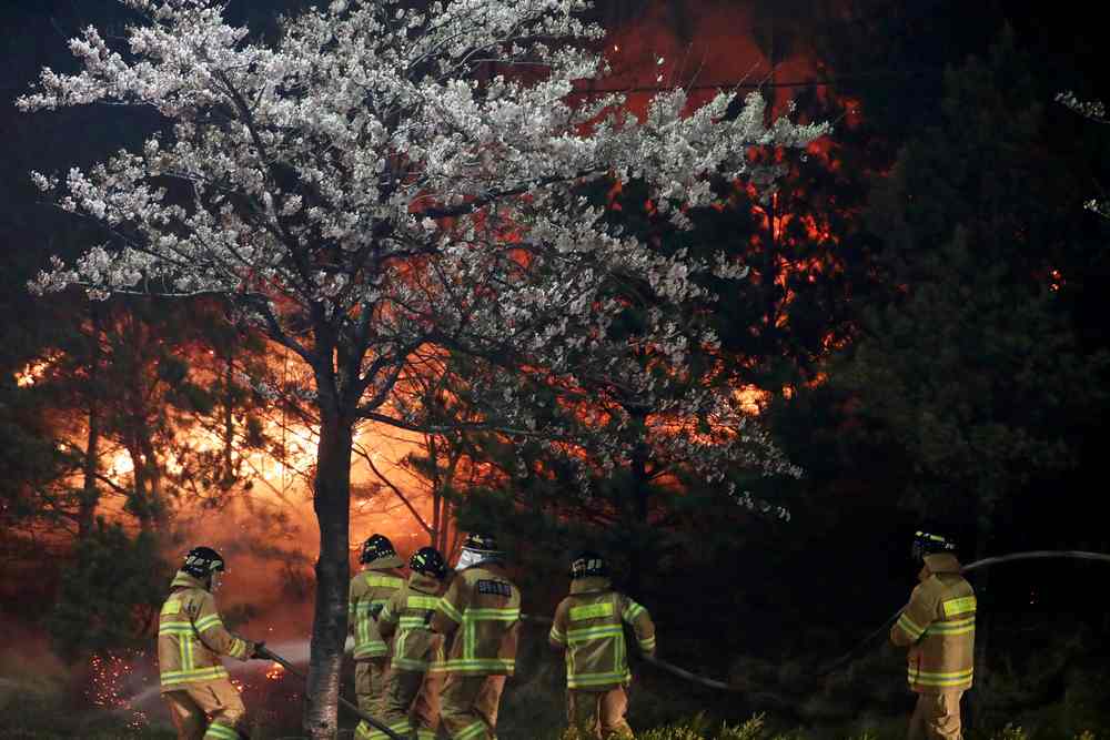 Firefighters work to put out flames during a wildfire in Sokcho, South Korea, April 5, 2019. u00e2u20acu201d Yonhap pic via Reuters