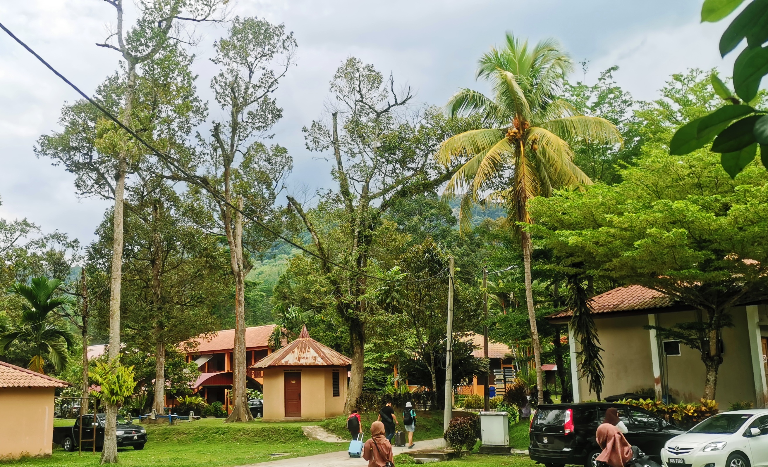 群山环绕青葱树林之中坐落着几栋住宿的Impian Rimba Resort。-杨琇媖摄-