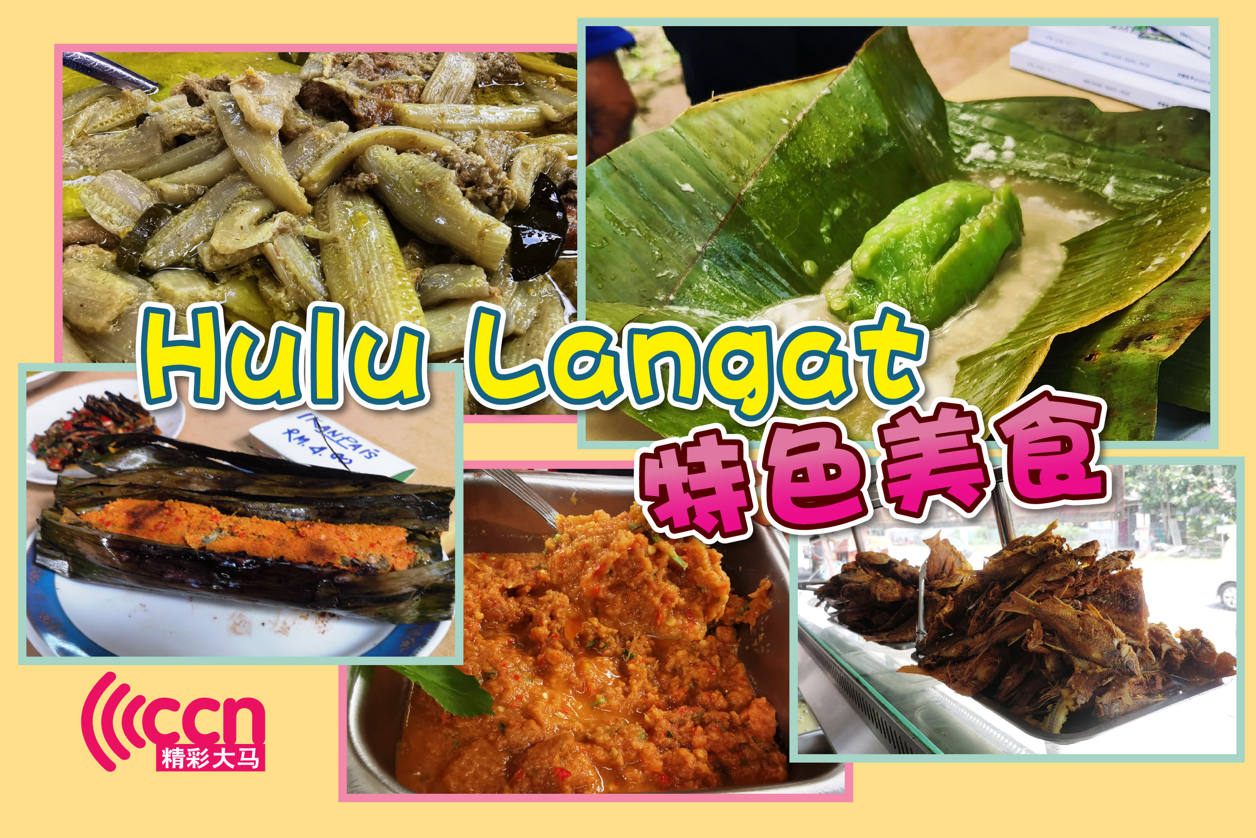 Cincai News