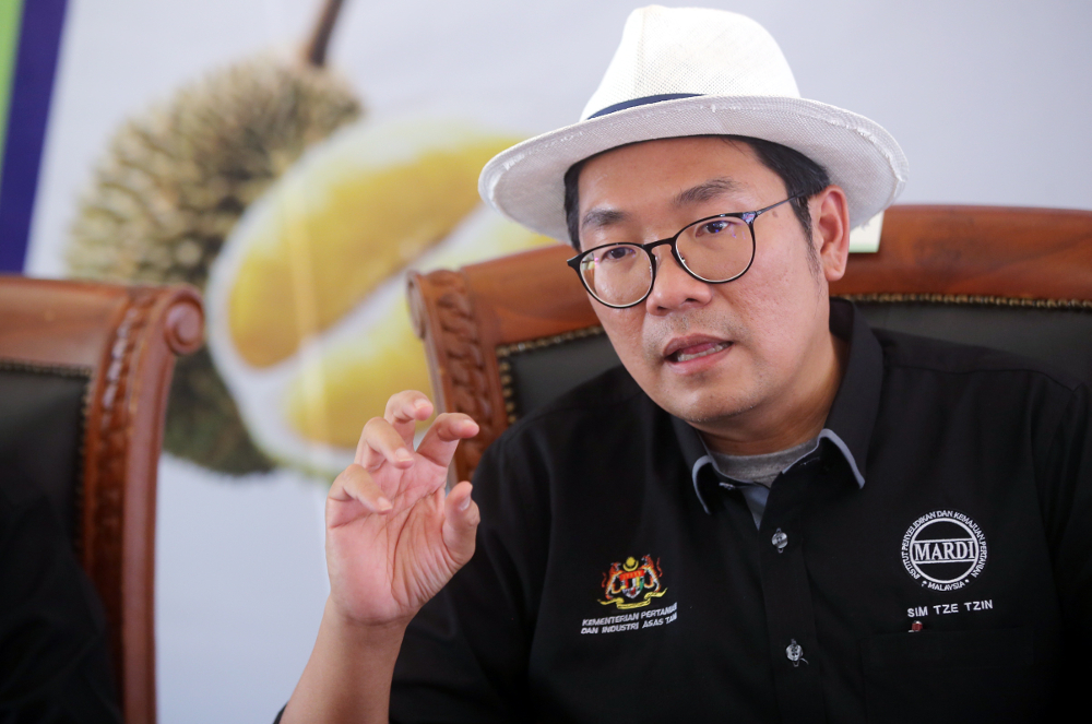 Agriculture and Agro-based Industries Deputy Minister Sim Tze Tzin speaks during the Duriotourism programme at the MARDI centre in Kuala Kangsar July 4, 2019. u00e2u20acu201d Picture by Farhan Najib