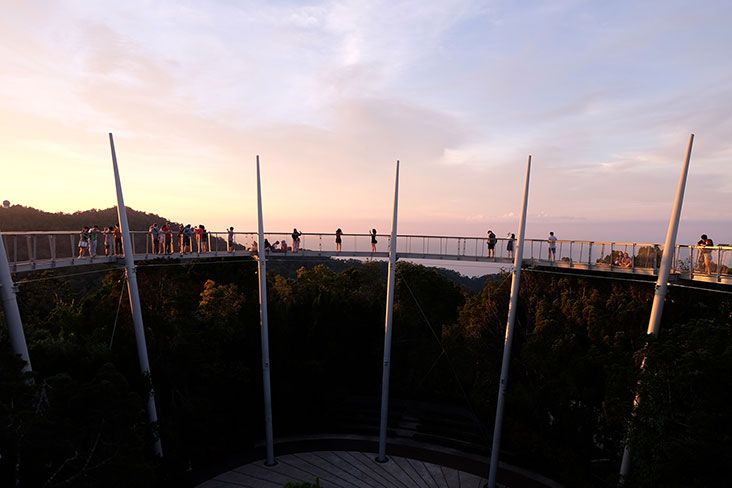 360度的原始森林天空步道(Curtis Crest-Tree Top Walk)绝对是看夕阳的最佳景点。-Steven KE Ooi摄-