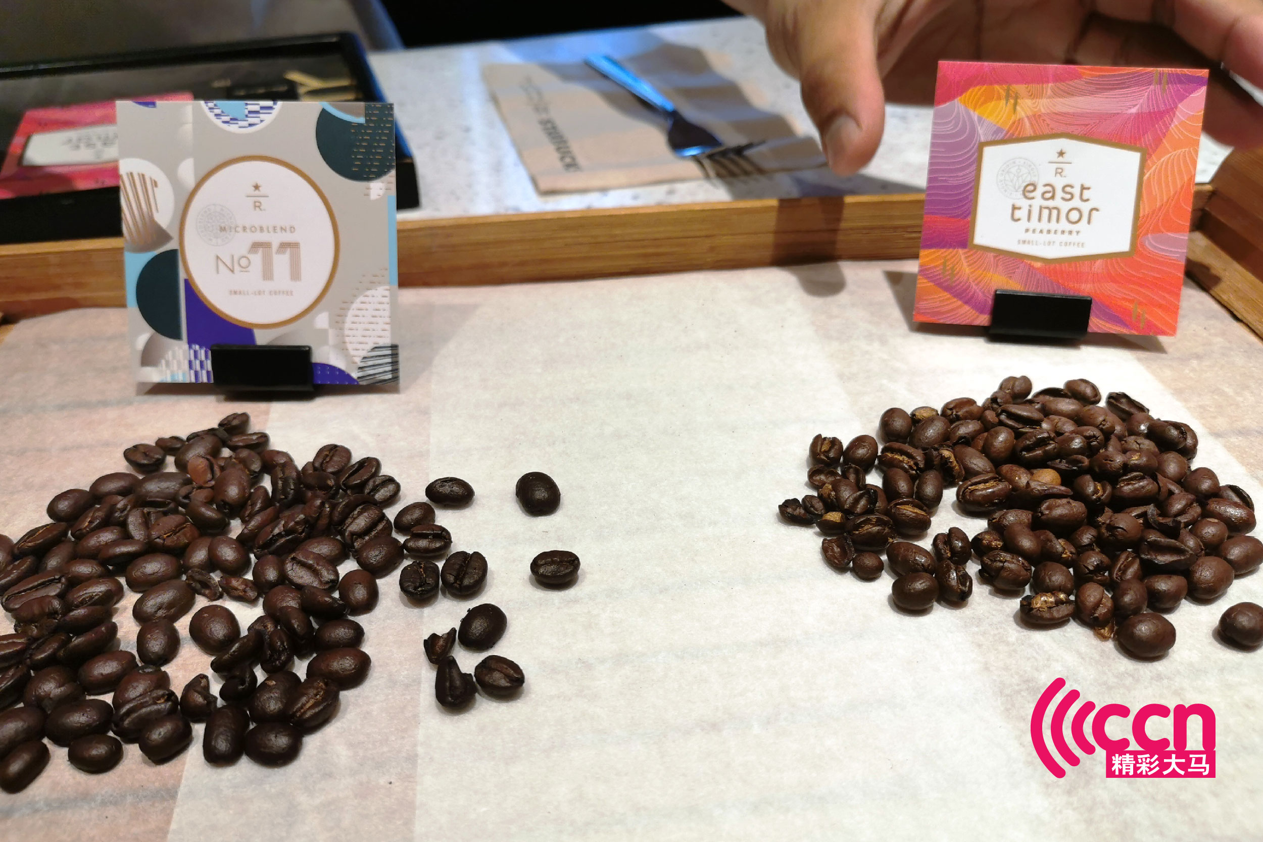 通常咖啡豆都是一面弧形另一面平面的“平豆”（左），但也有一整颗圆滚滚的圆豆（右）。-杨琇媖摄-