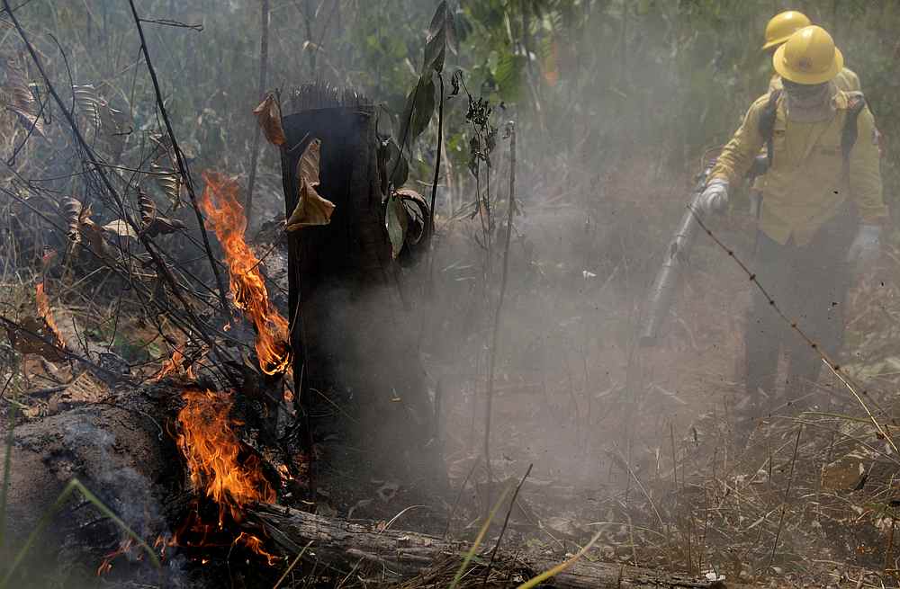 Firefighters extinguish a fire in Amazon jungle in Porto Velho, Brazil August 25, 2019. u00e2u20acu201d Reuters pic
