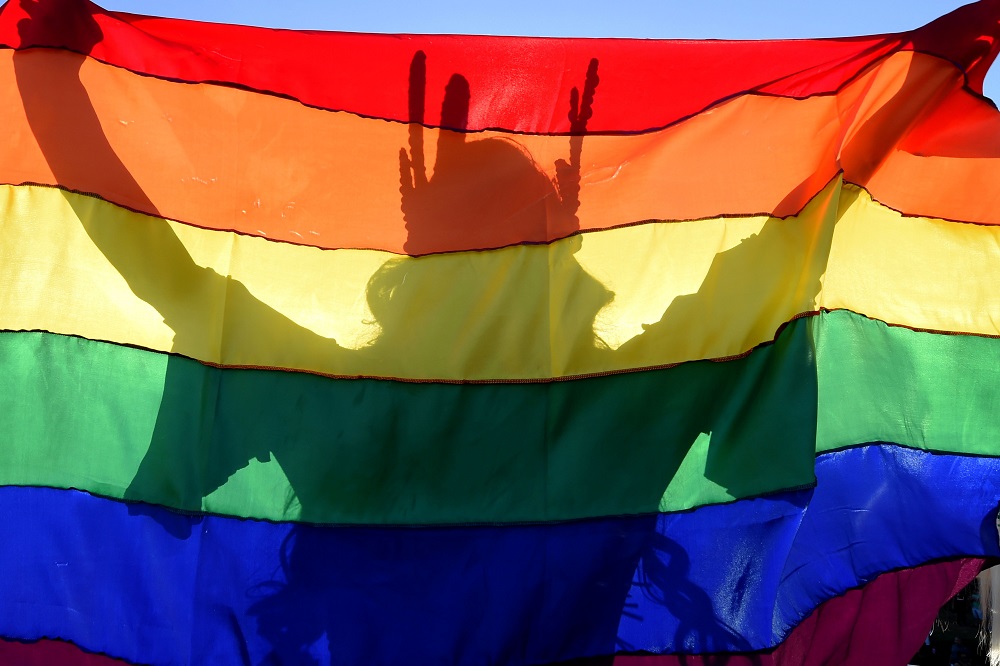The shadow of a reveller is cast on a rainbow flag during the 22nd LGBT Pride Parade, which theme is u00e2u20acu02dc50 years of Stonewallu00e2u20acu2122, in Brasilia July 14, 2019. u00e2u20acu201d AFP pic        