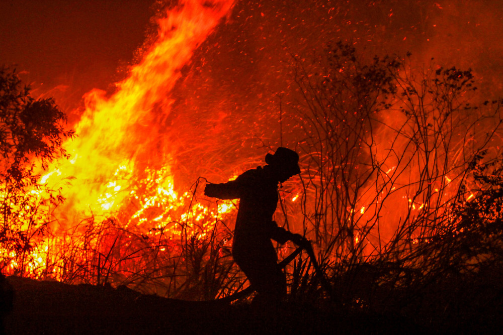 A firefighter extinguishes a fire in a forest at Rambutan village, in Ogan Ilir, South Sumatra province, September 11, 2019. u00e2u20acu201d AFP pic