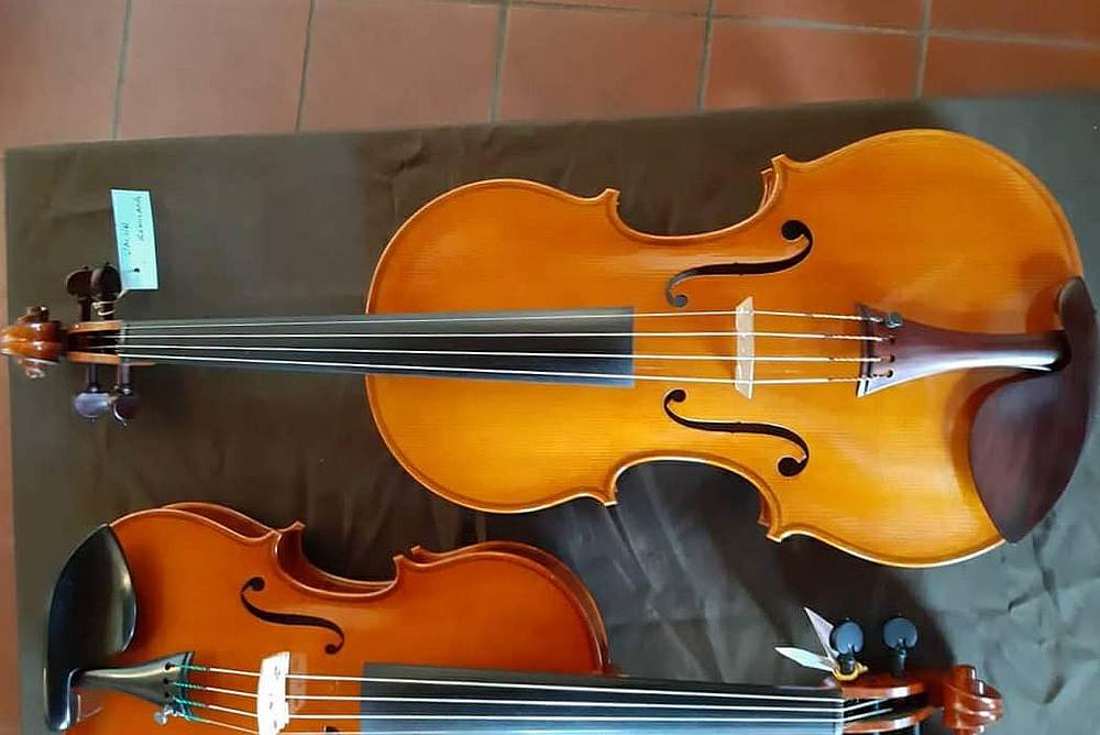 得到金奖的小提琴名为“我的国家Negaraku” ，而中提琴则是“辉煌条纹Jalur Gemilang”。-陈振盛提供-