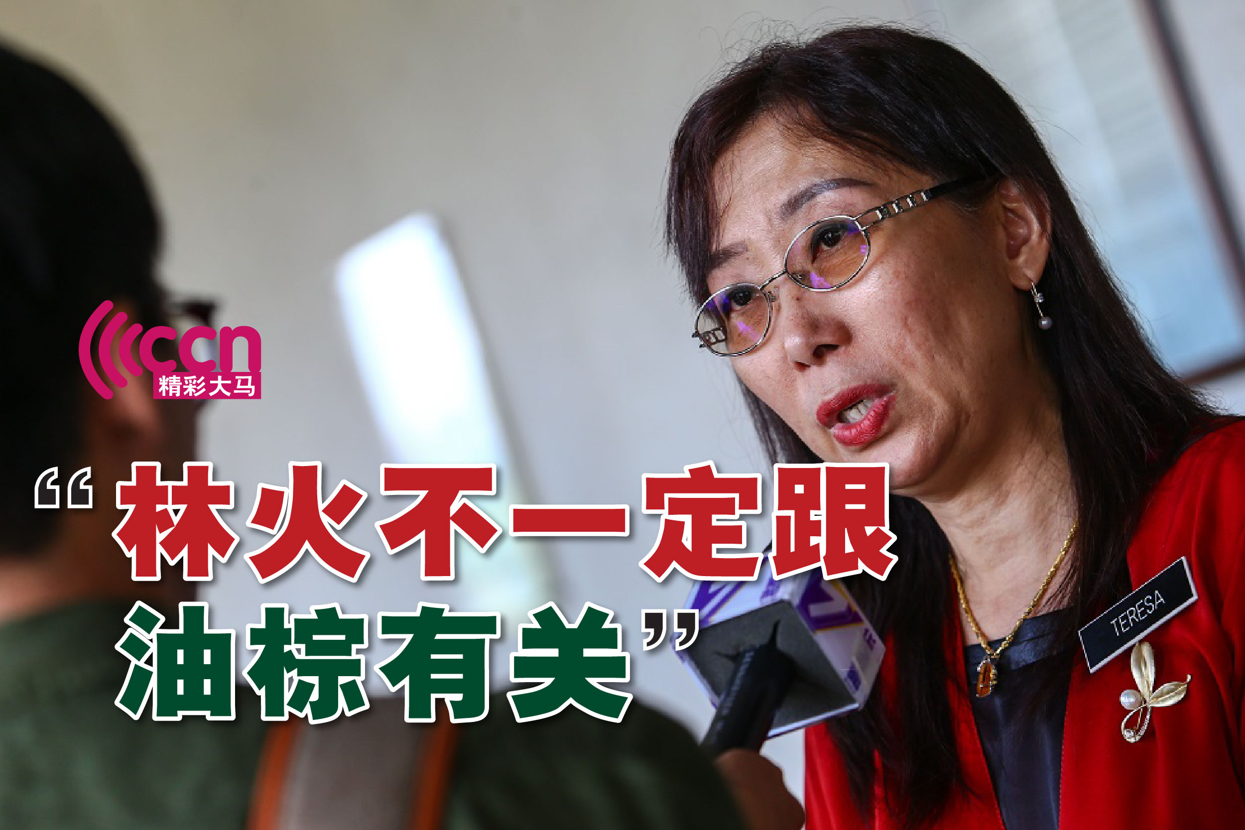 Cincai News