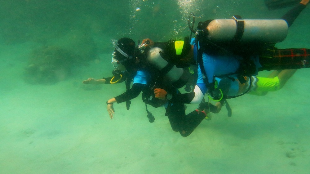 The event was organised by Diveheart to build confidence, independence and self-esteem through scuba diving. u00e2u20acu201d Picture courtesy of Diveheart Malaysia