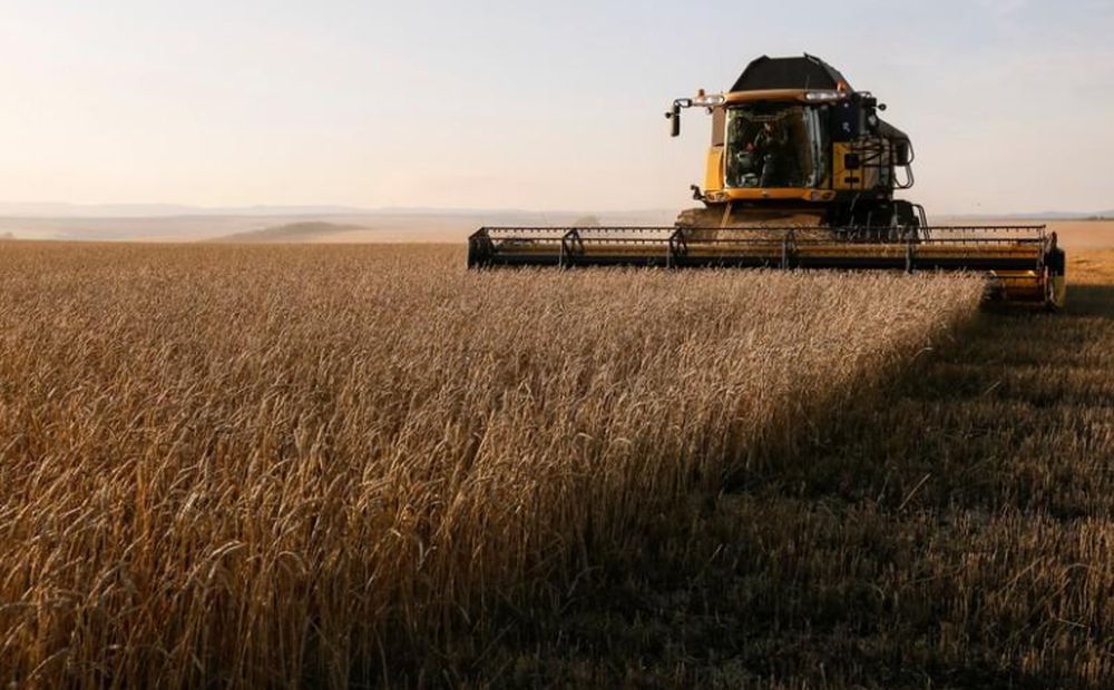 A combine harvests wheat in a field in Krasnoyarsk region, Russia September 7, 2018. u00e2u20acu201d Reuters pic