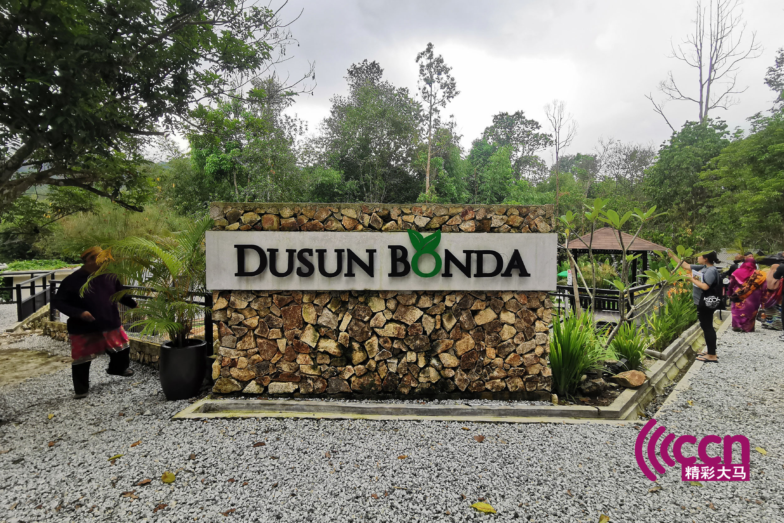 以母爱为名的Dusun Bonda.-杨琇媖摄-