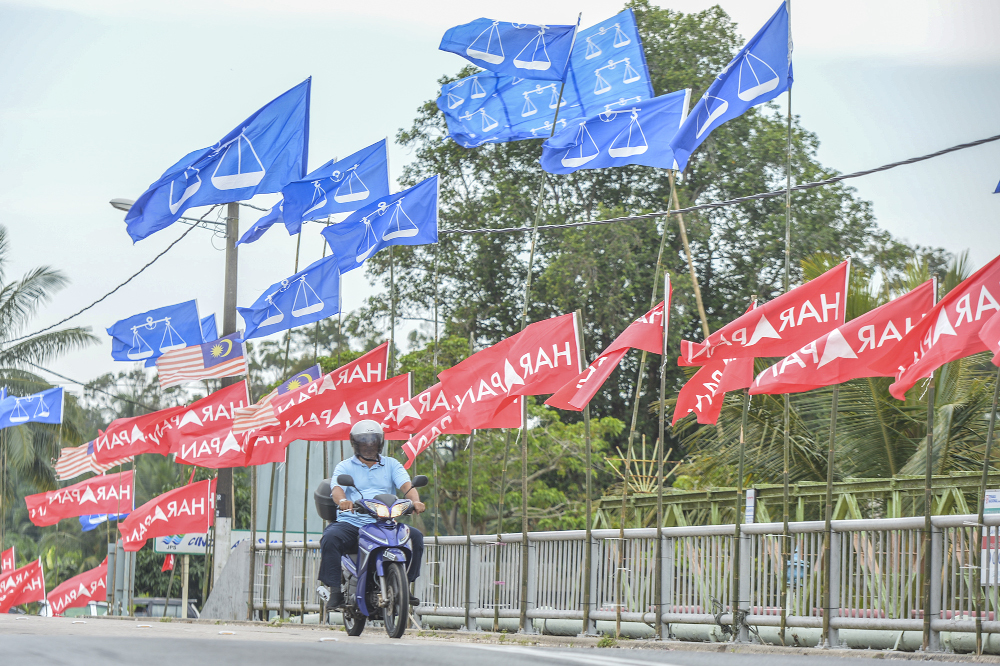 Pakatan Harapan and Barisan Nasional flags line a road in Sungai Rembah, Pontian November 4, 2019. u00e2u20acu201d Picture by Shafwan Zaidon