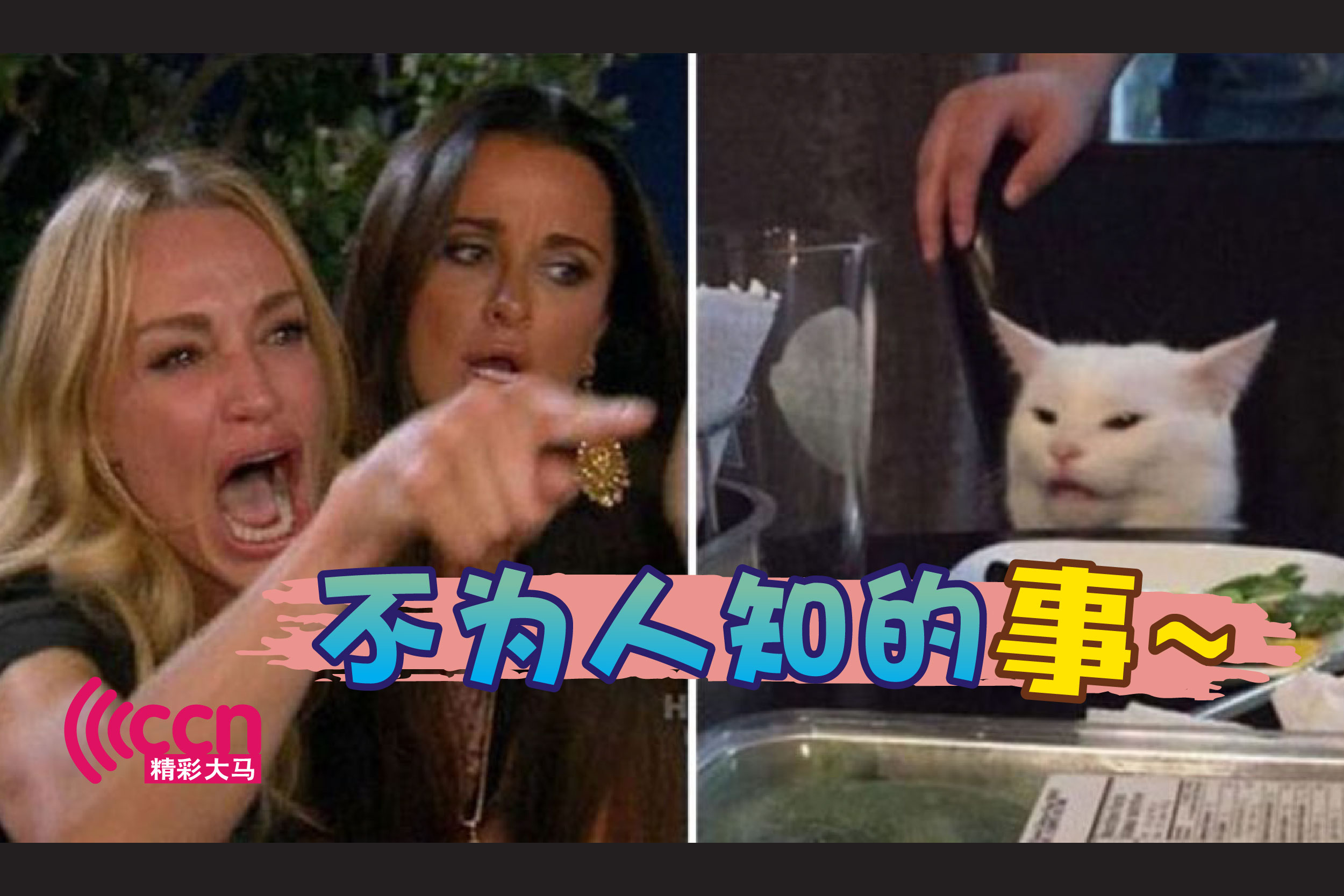 Cincai News