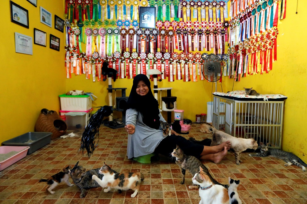 ‘Rumah Kucing Parung’是迪达对猫咪付出的结晶成果。-路通社-