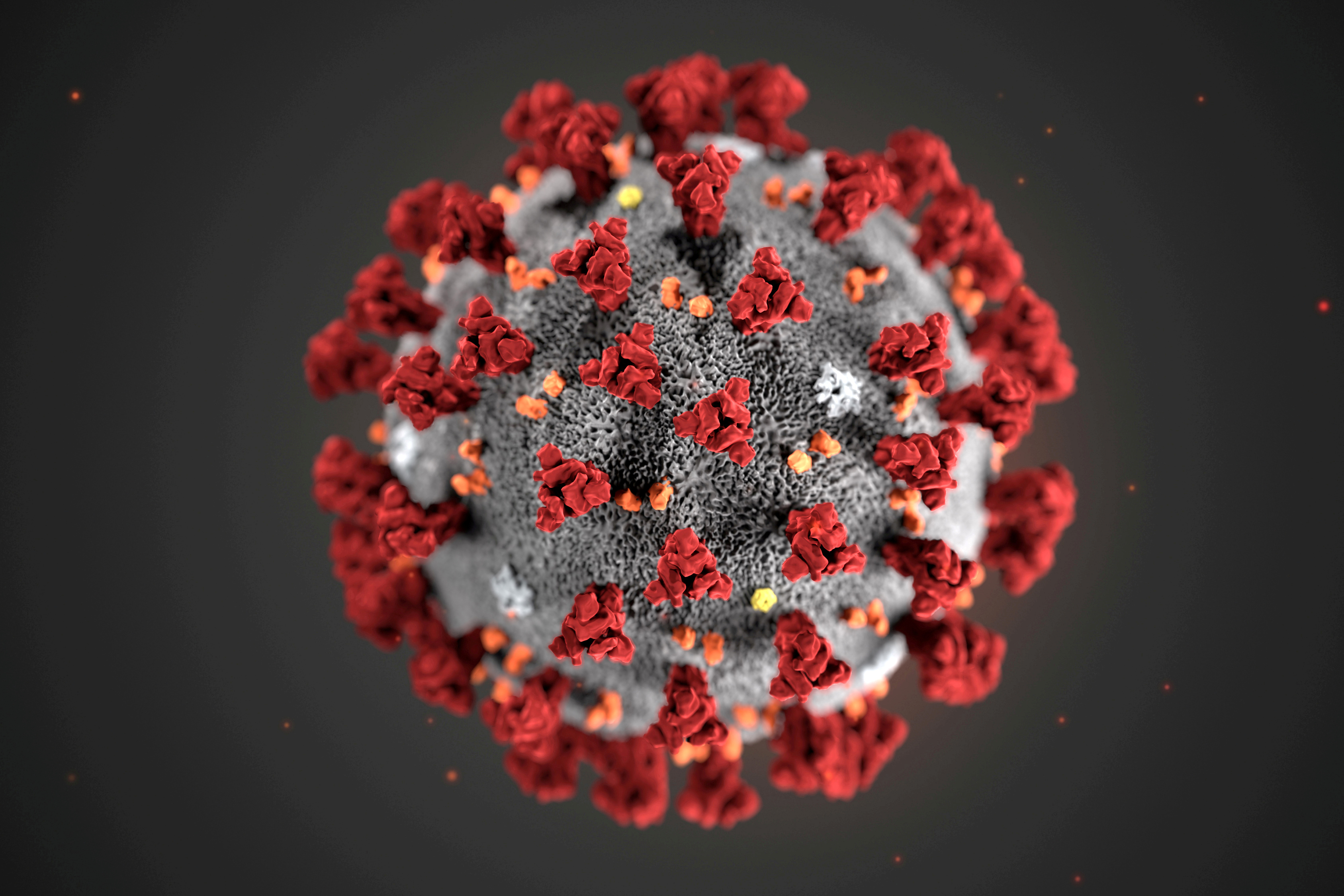 The ultrastructural morphology exhibited by the 2019 Novel Coronavirus (2019-nCoV) is seen in an illustration released by the Centres for Disease Control and Prevention in Atlanta January 29, 2020.u00e2u20acu201d CDC handout via Reuters