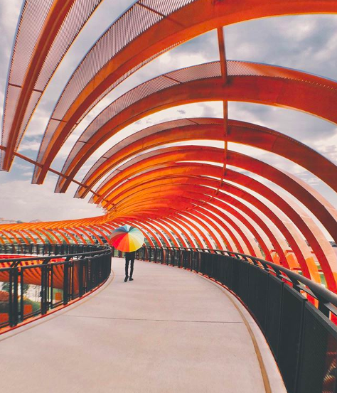 圆形的橘色大桥，也是不错的打卡景点。-图片摘自SAYS-