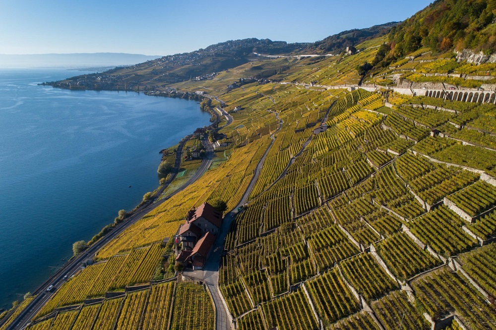 Switzerland is the safest country to visit. Shown here are the terraced vineyards in Lavaux, which is a Unesco world-heritage site. u00e2u20acu201d AFP pic