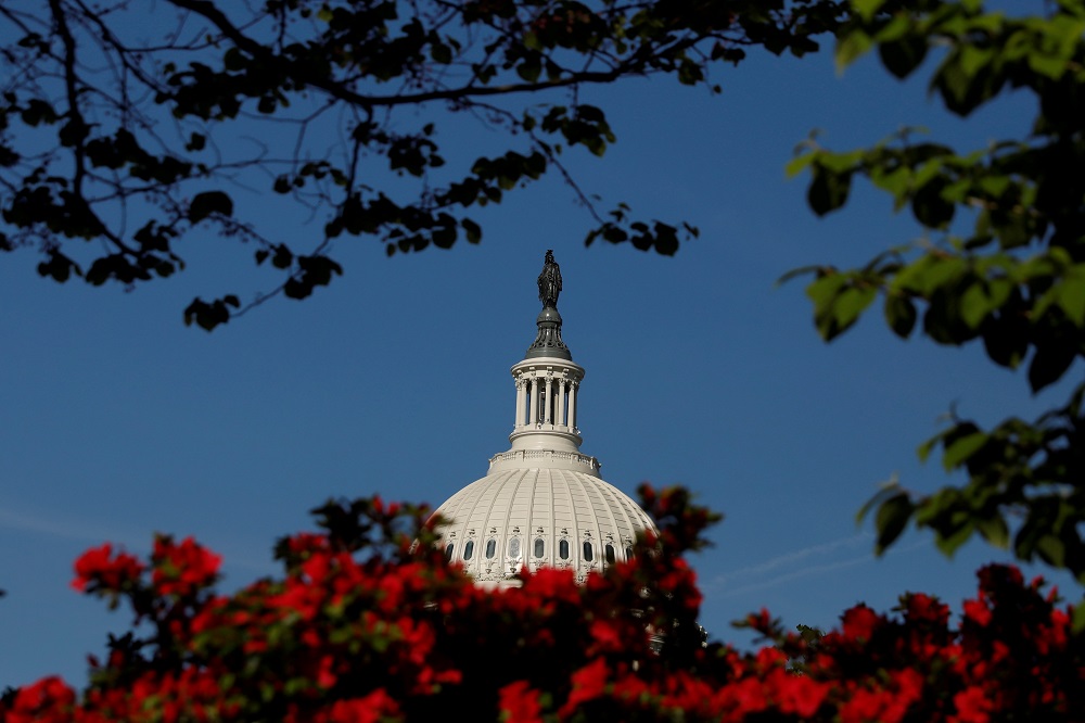 The US Capitol building is seen through flowers in Washington April 23, 2019. u00e2u20acu201d Reuters pic