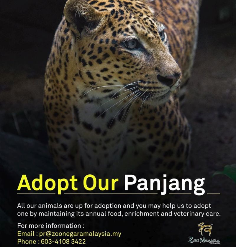 The public can donate to help ease Zoo Negara's operating costs. u00e2u20acu201d Picture via Instagram/zoonegara_malaysia. 