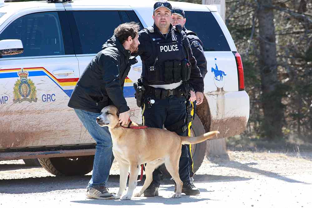 RCMP officer Cedric Landry releases a dog to a man at the checkpoint onto Portapique Beach Road after Gabriel Wortman, a suspected shooter, was taken into custody in Portapique, Nova Scotia, Canada April 19, 2020. u00e2u20acu201d Reuters pic