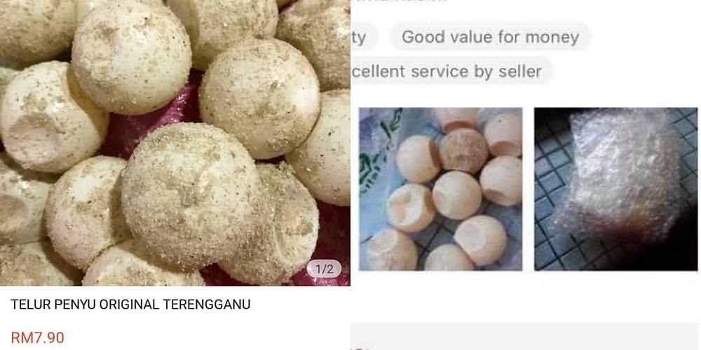 The screenshots were originally shared by @ZoologiMY on Twitter who highlighted how turtle egg merchants are now going online to sell their wares. u00e2u20acu201d Pictures from Twitter/ZoologiMY