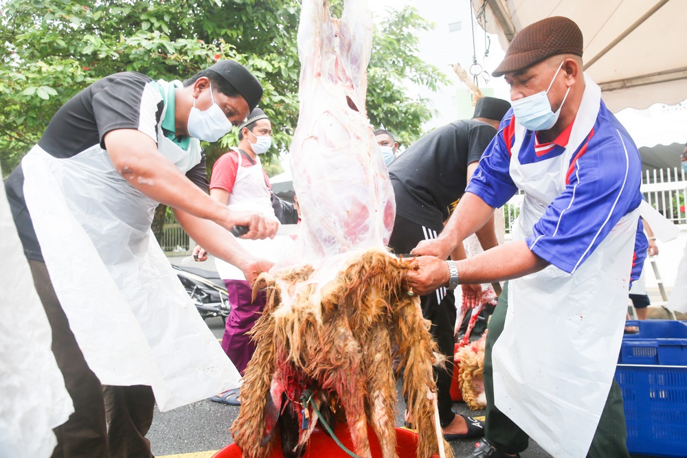 Malaysian Muslims slaughtering a lamb for Aidiladha at the National Mosque in Kuala Lumpur July 31, 2020. u00e2u20acu201d Picture by Choo Choy May