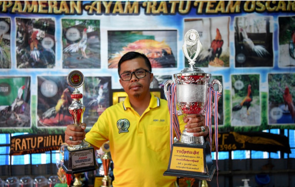 哈夫尼占展示爱宠Radiq在2018年赢下的泰国斗鸡选美赛冠军奖杯！-马新社-