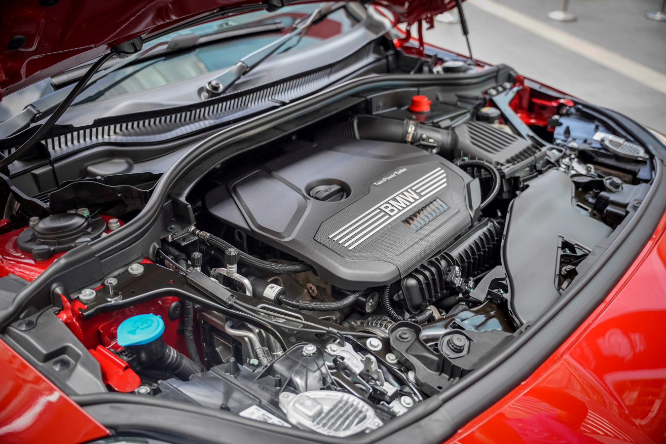 -图摘自SoyaCincau-