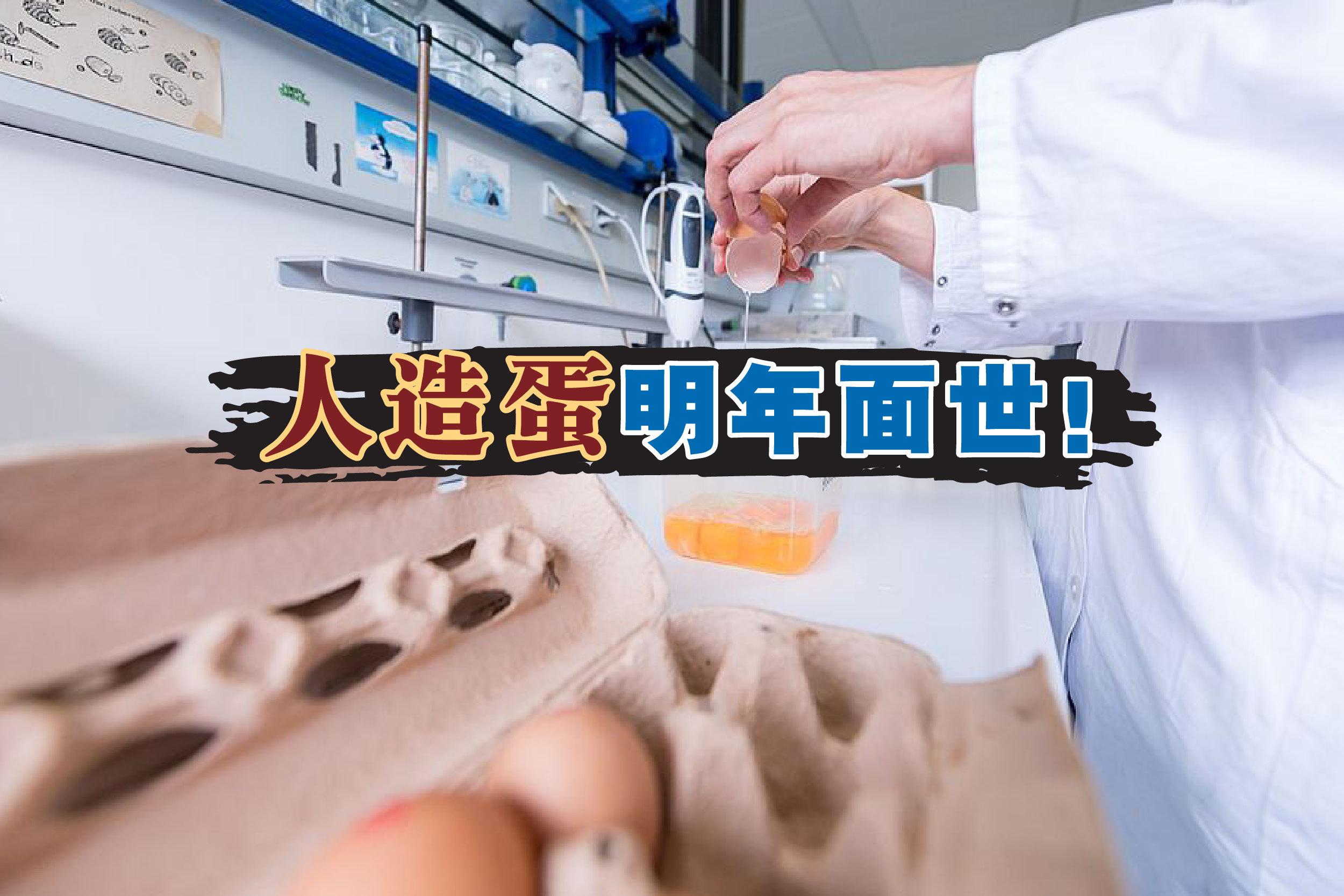 Cincai News