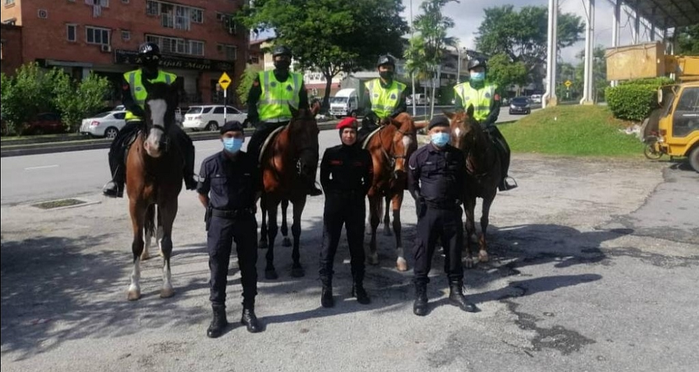 No horsing around when it comes to complying to SOPs u00e2u20acu2022 Picture via Facebook/ Polis Daerah Serdang