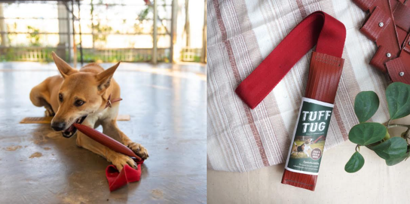 谁会想到用飞机上的安全带制作成为毛孩子的玩具?-亚航基金会提供-