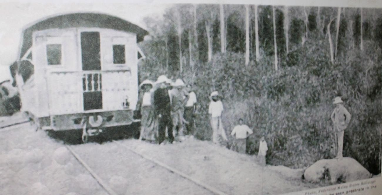 1894年9月17日，安顺发生了一起火车撞死小象事故。-图取自网络-