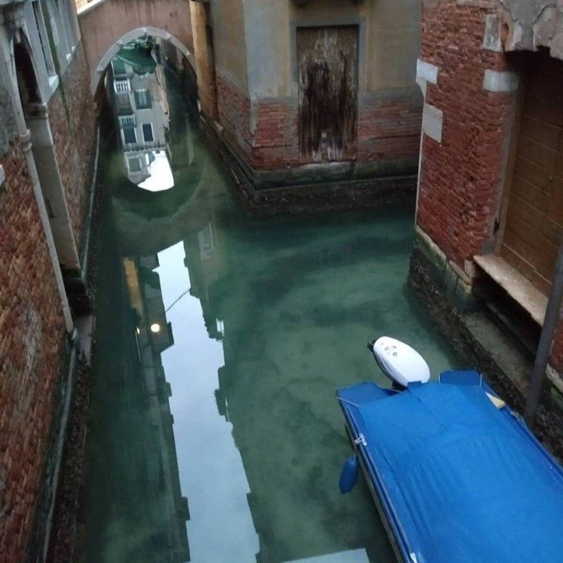 威尼斯运河清澈见底。-图摘自VENEZIA PULITA脸书社团-