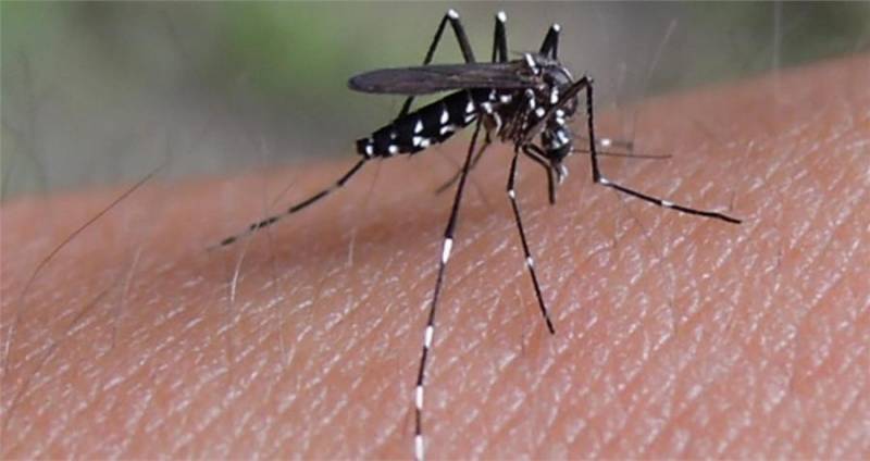 民众必须疏通沟渠填平洼坑，清除蚊虫苍蝇孳生地，有目标的进行消毒以防止蚊蝇大量繁殖。