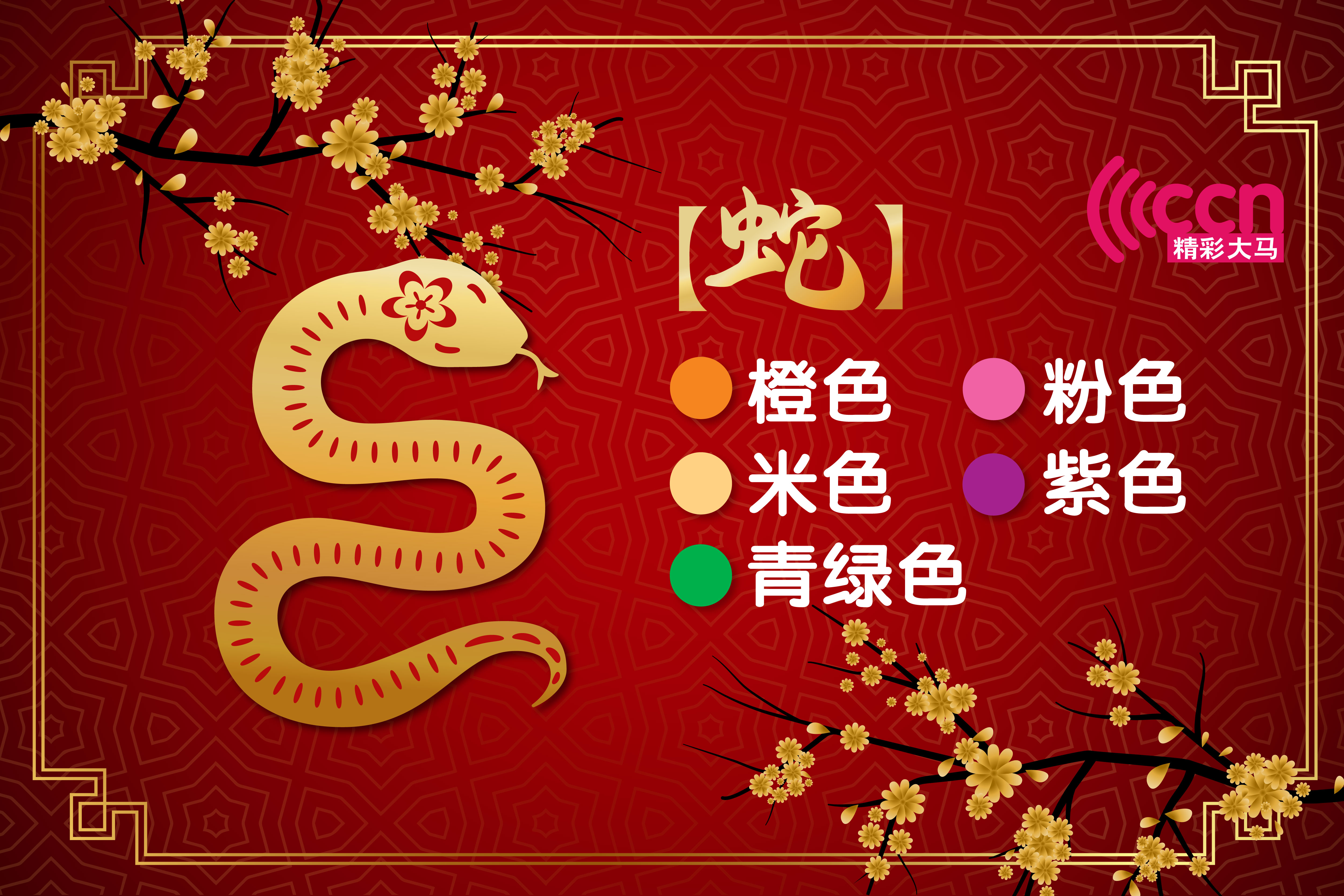 -精彩大马制图-