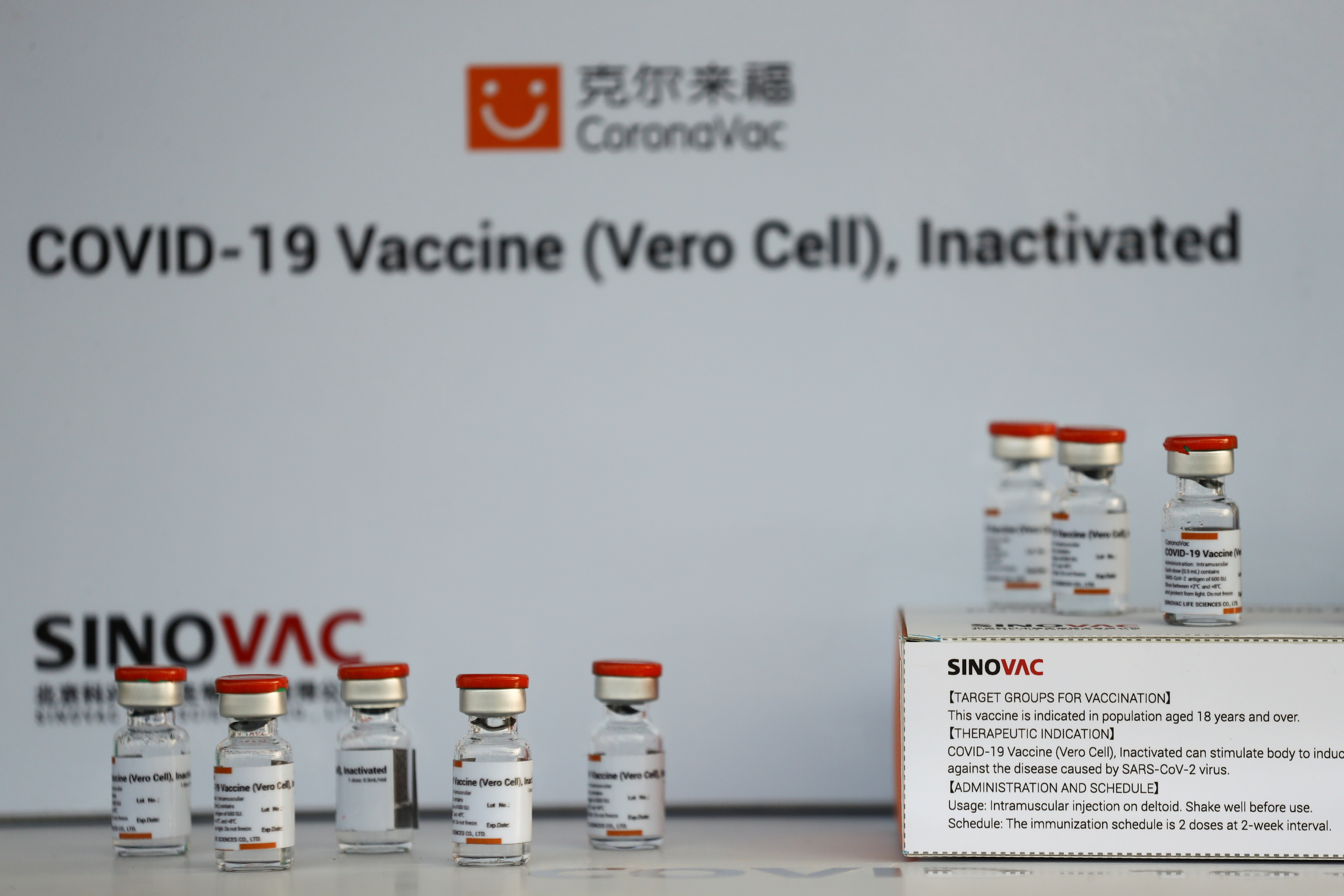Cincai News