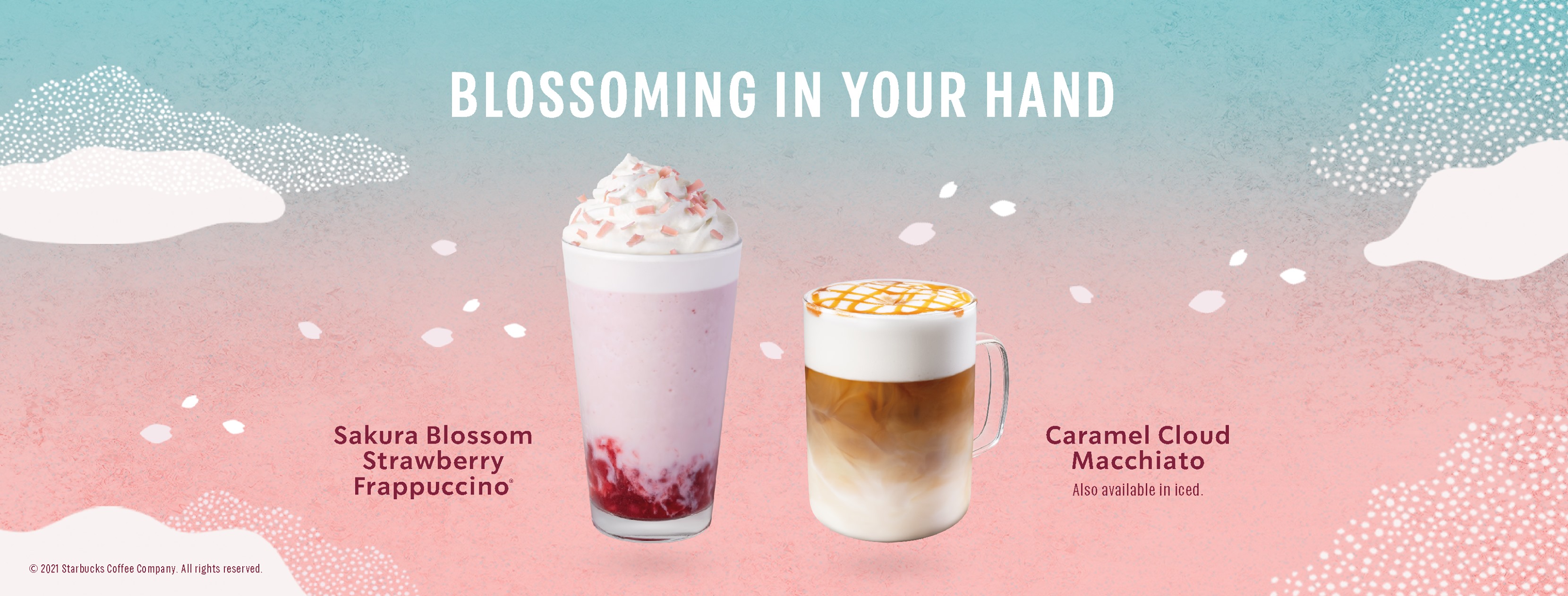 大马星巴克推出两款新饮料！-图摘自大马星巴克-