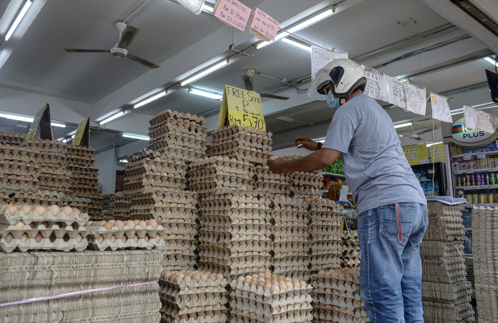 The Domestic Trade and Consumer Affairs Ministry advised consumers not to panic buy eggs following a report on the withdrawal of eggs produced by a Malaysian company from the Singapore market. u00e2u20acu201d Bernama pic 