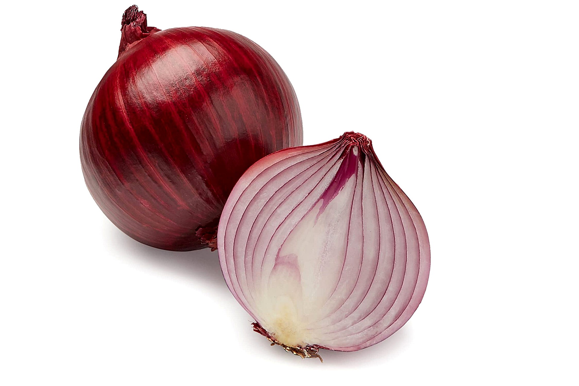 紫洋葱富含花青素，可预防心脏病、某些癌症和糖尿病。-图取自Pixabay-