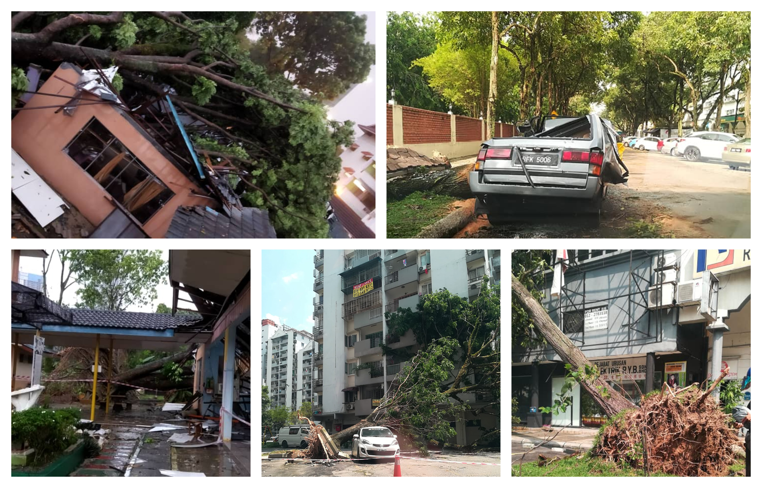 美合家国中和附近一带的路边的大树被强风吹倒，导致建筑和轿车被压毁。-图取自脸书，精彩大马制图-