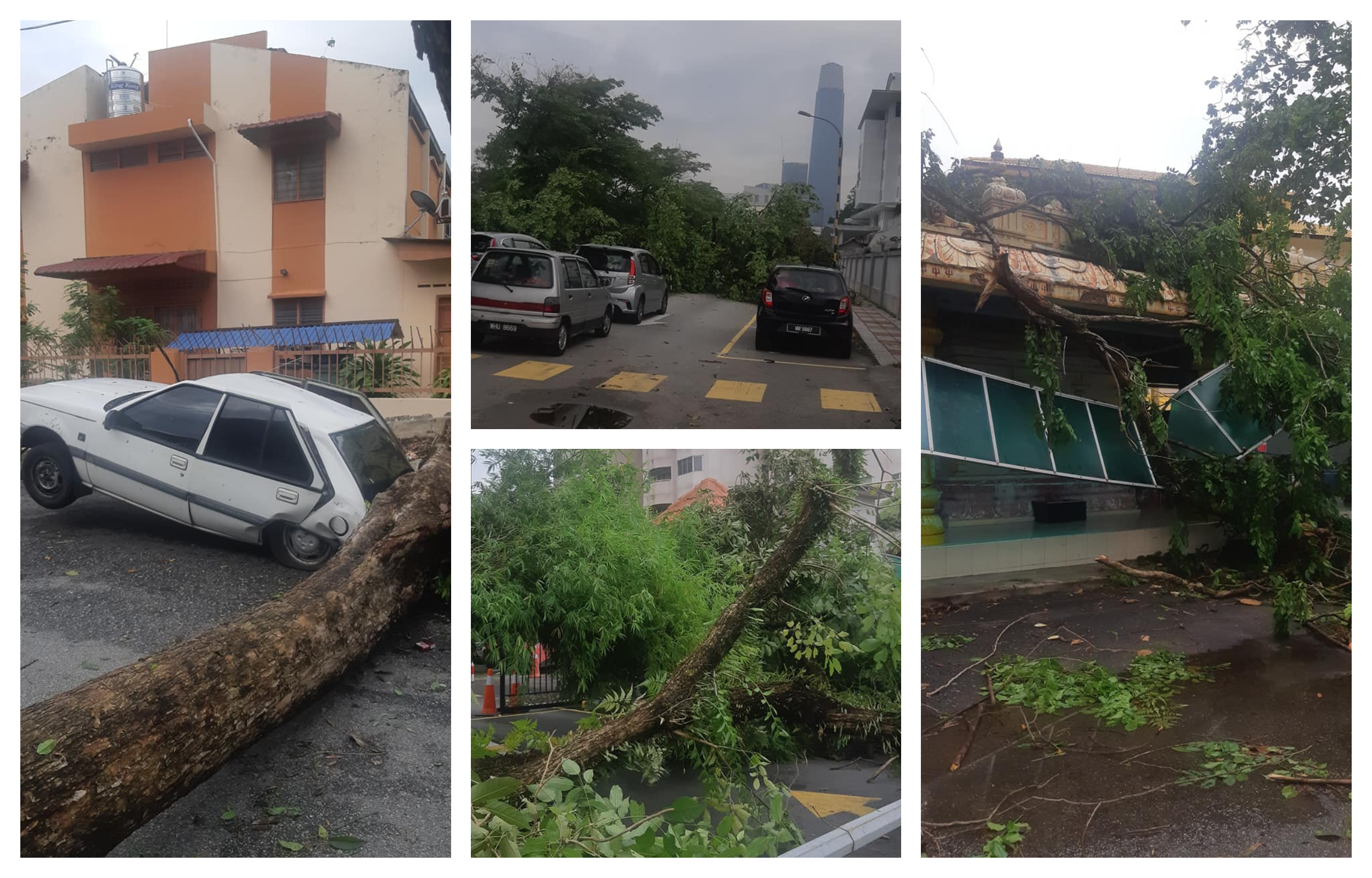 马鲁里一带的公寓及住宅区也出现大树倒塌导致道路不通。-图取自脸书，精彩大马制图-