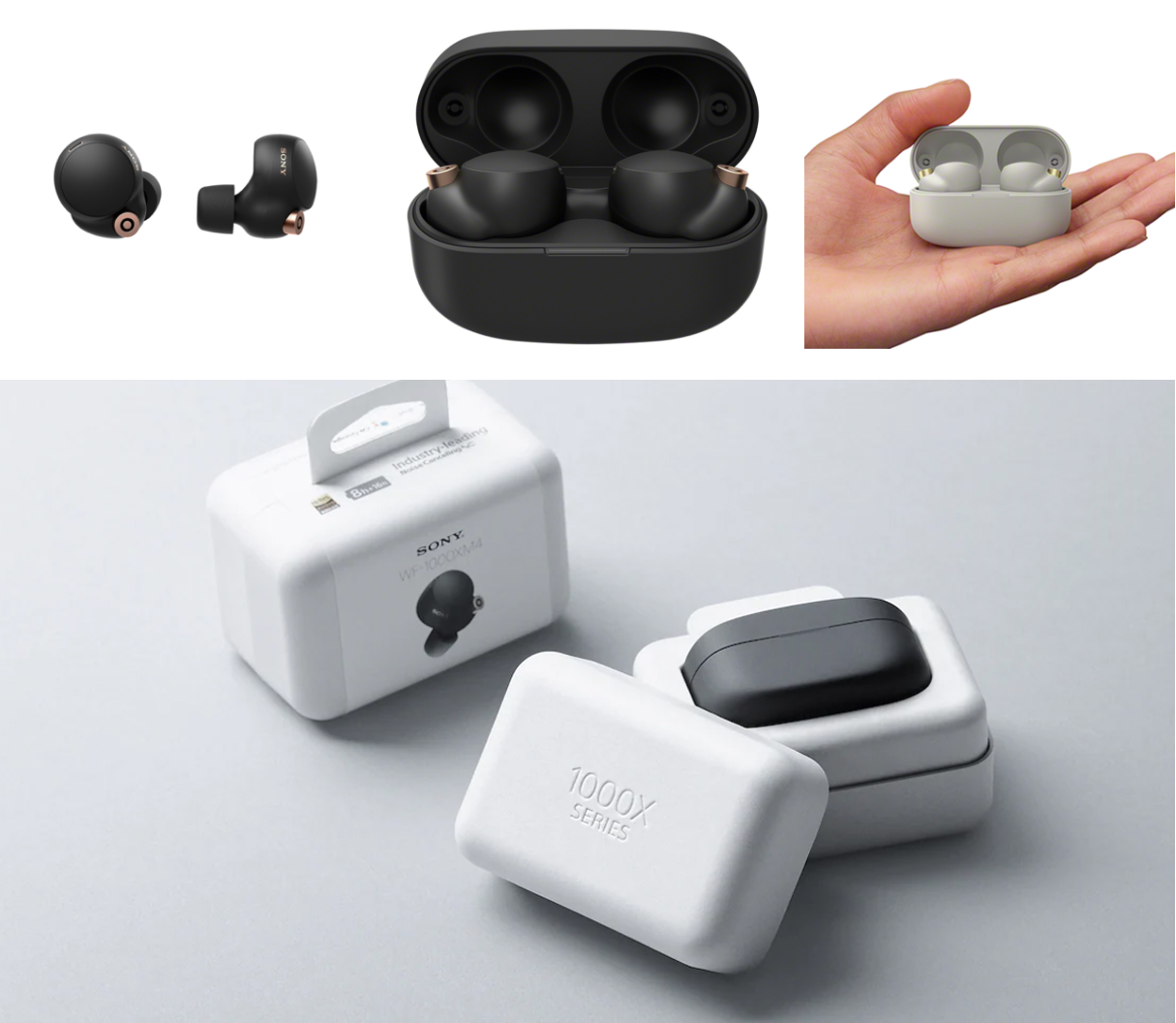 -图摘自Soya Cincau-