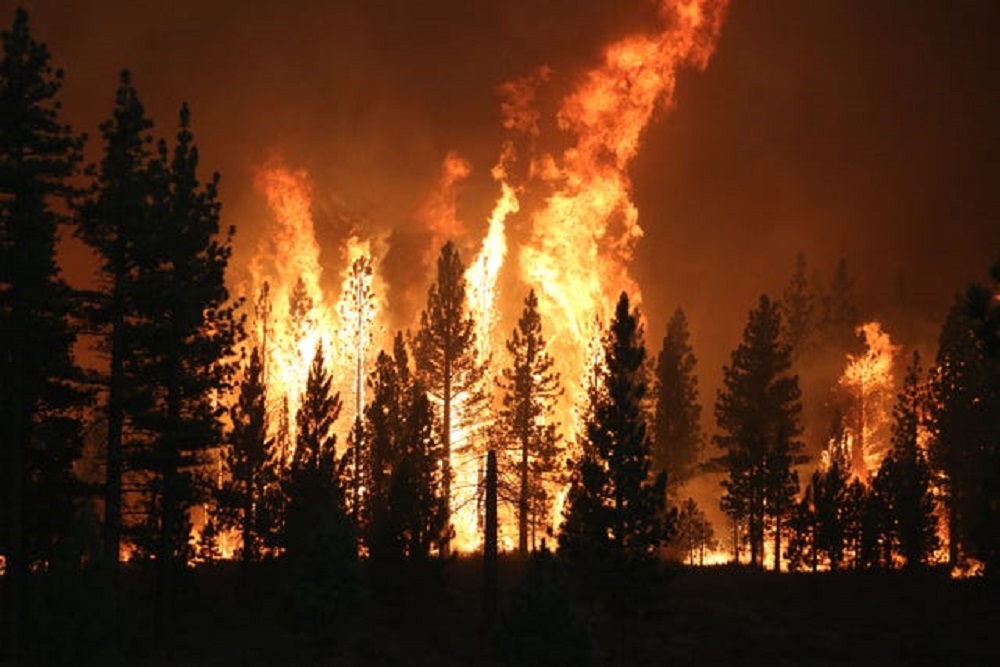 7月初以来，美国西部大部分地区遭遇干旱和破纪录的高温，导致山火不断。-图取自网络-