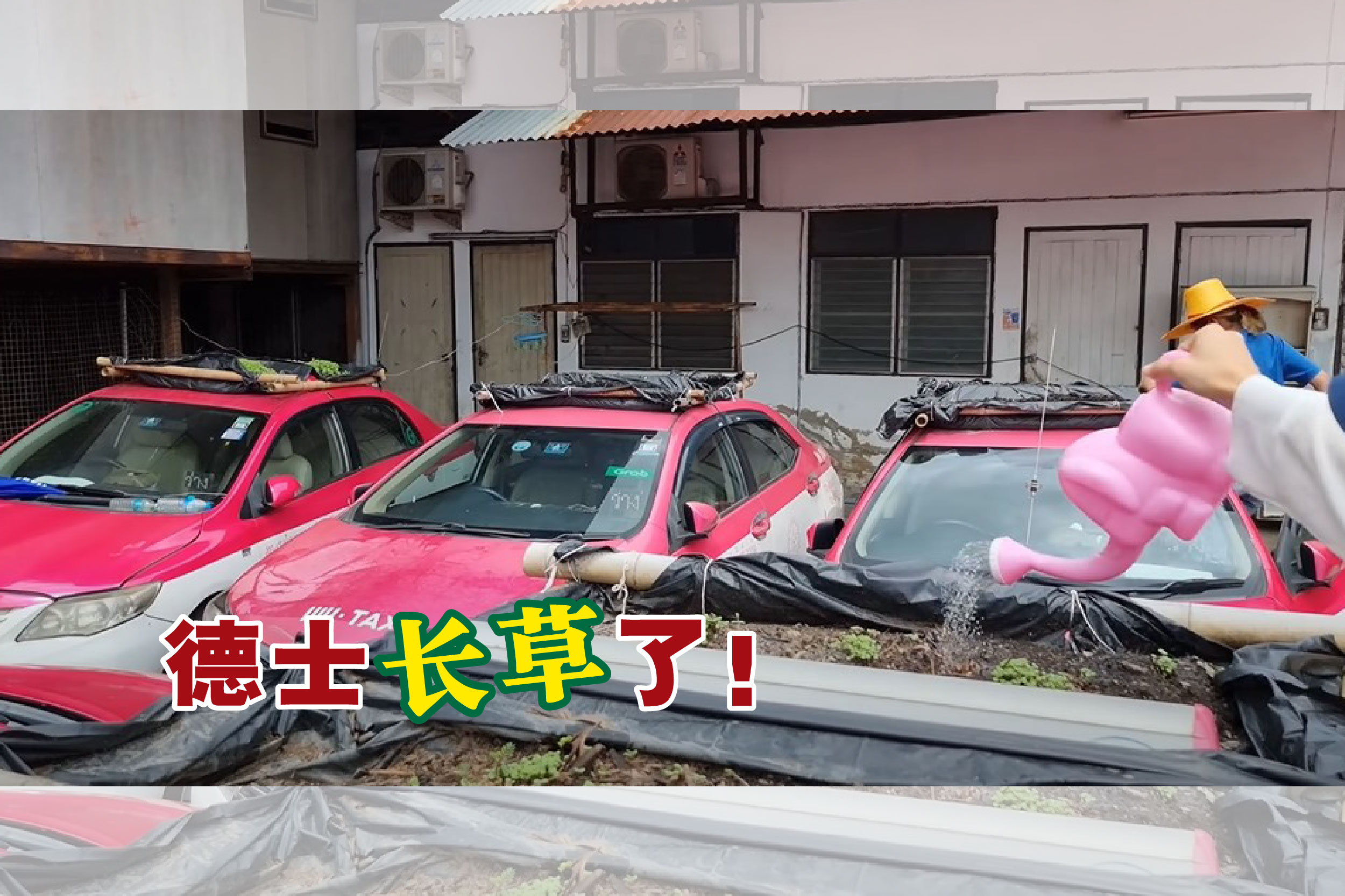Cincai News