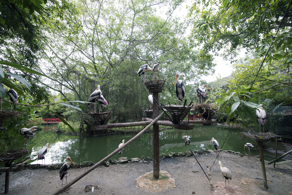 Penang is proposing that outdoor attractions like the Penang Bird Park be reopened for a test run. u00e2u20acu201d Picture by Steven Ooi KE