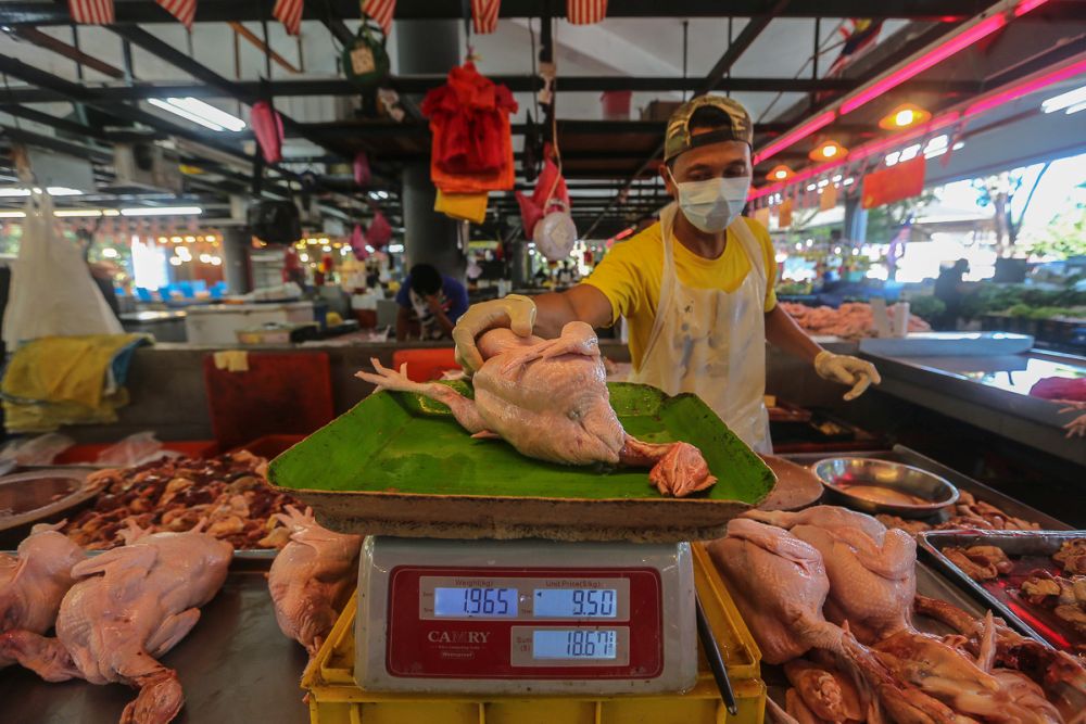 A trader weighs a chicken at Pasar Awam Moden Seksyen 6 in Shah Alam September 21, 2021. u00e2u20acu201d Picture by Yusof Mat Isa