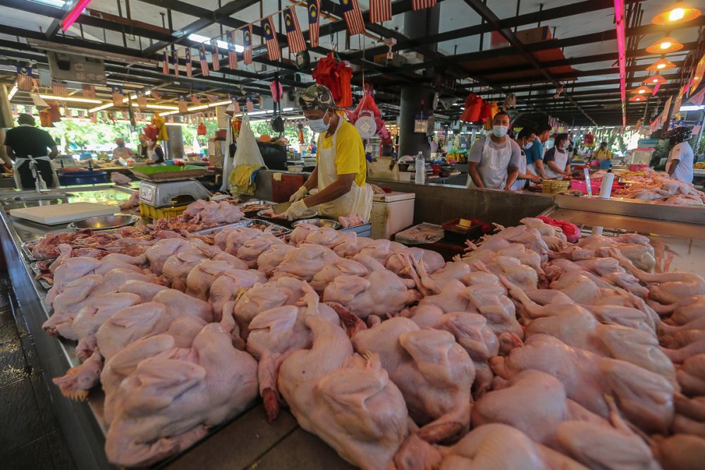 Chicken are seen for sale at Pasar Awam Moden Seksyen 6 in Shah Alam September 21, 2021. u00e2u20acu201d Picture by Yusof Mat Isa