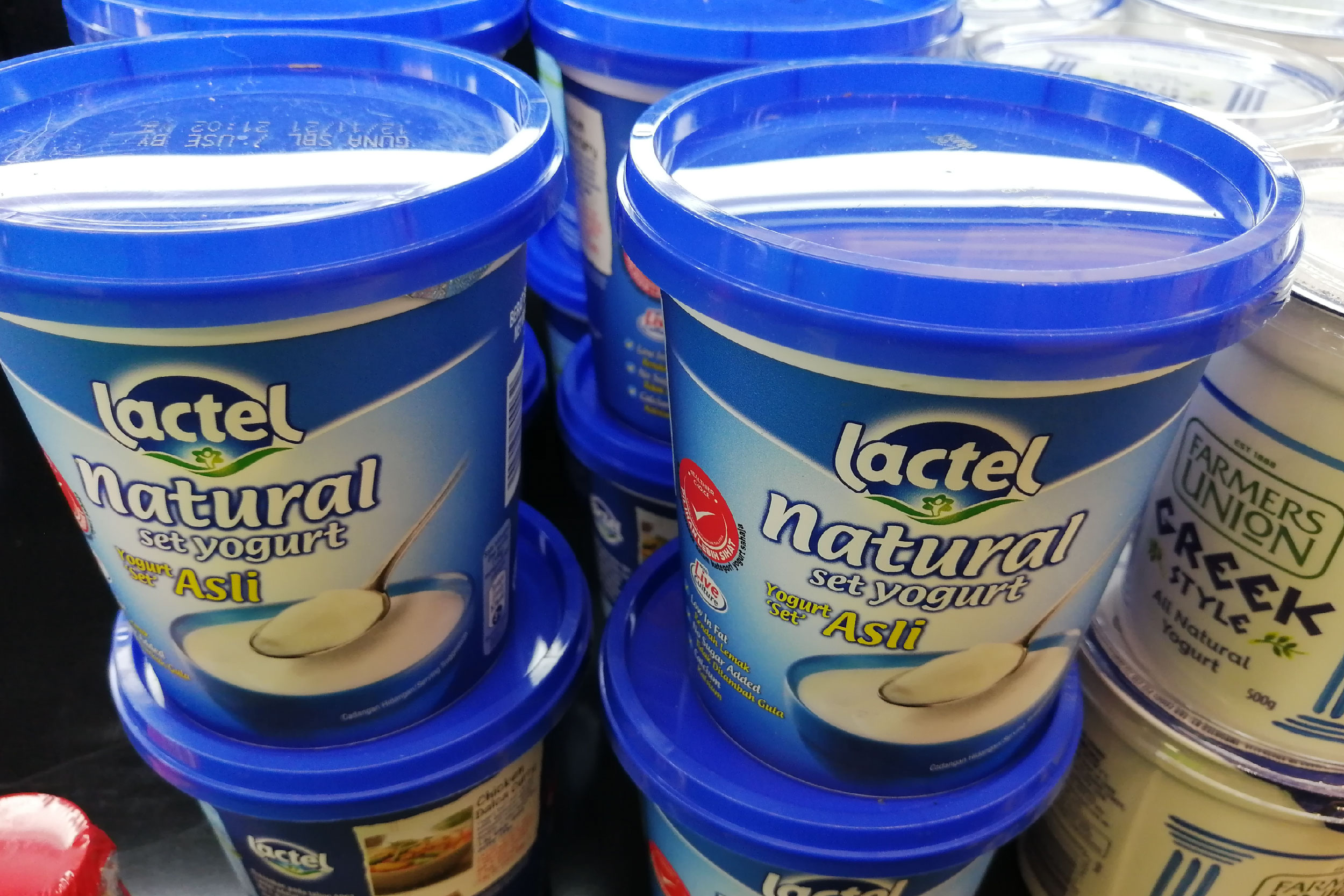 凝固型酸奶是传统发酵的酸奶。-刘家仪摄-