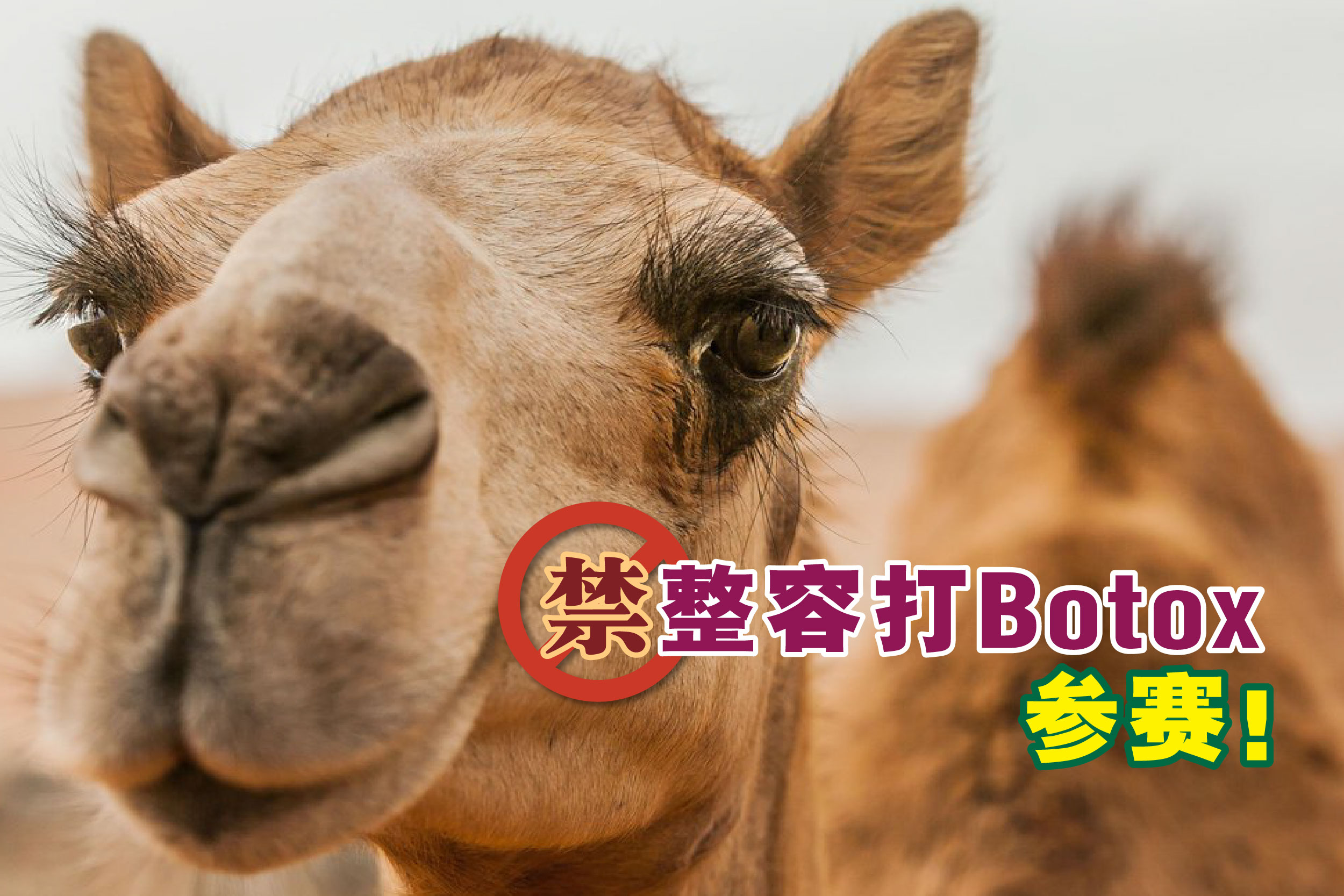 Cincai News